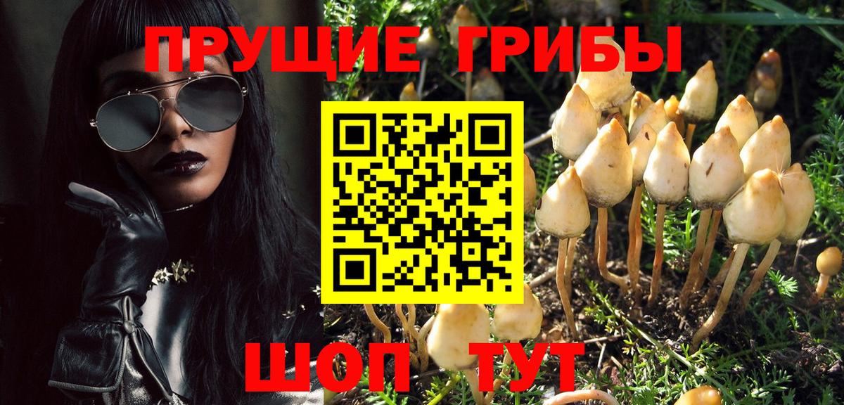 Орёл  Псилоцибиновые грибы MAGIC MUSHROOMS  Вход с VPN  Галлюциногенные грибы ЛСД 