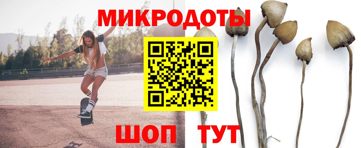 Галлюциногенные грибы Psilocybine cubensis Орёл